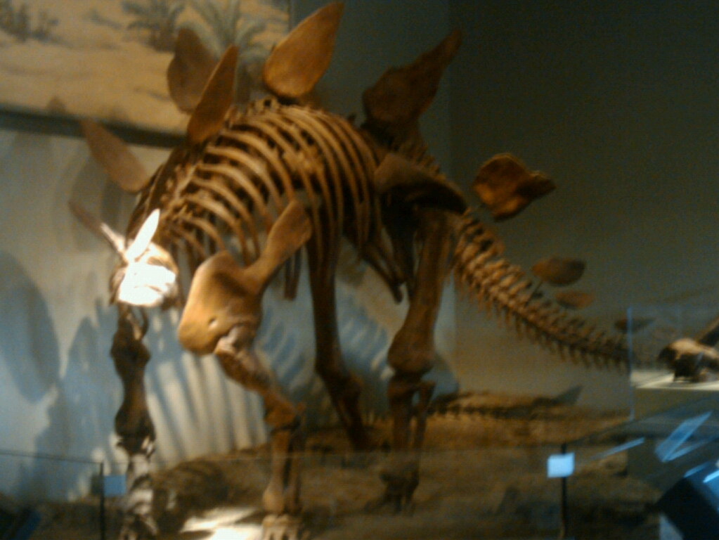 フィールド博物館                Field Museum