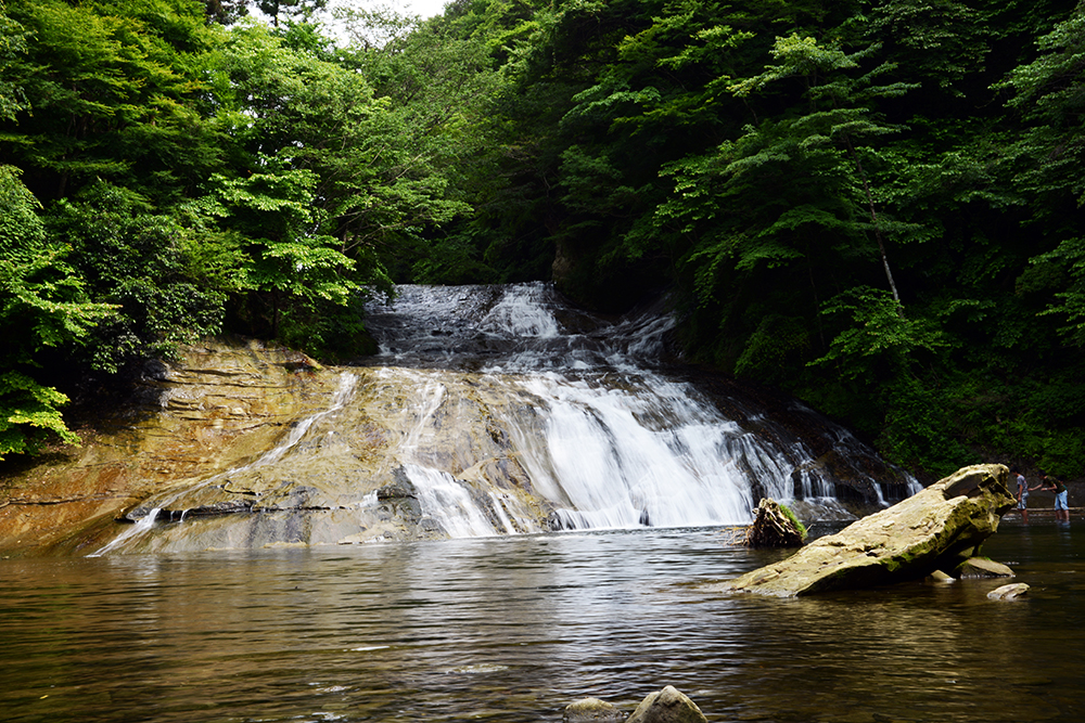『初夏の粟又の滝遊歩道を歩きました』by はる｜粟又の滝遊歩道のクチコミ【フォートラベル】