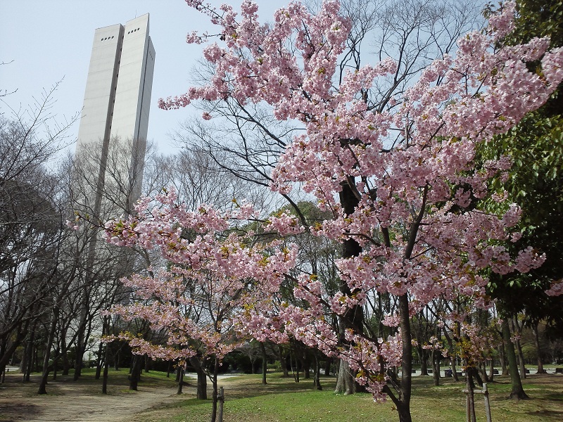 大井仙樹園