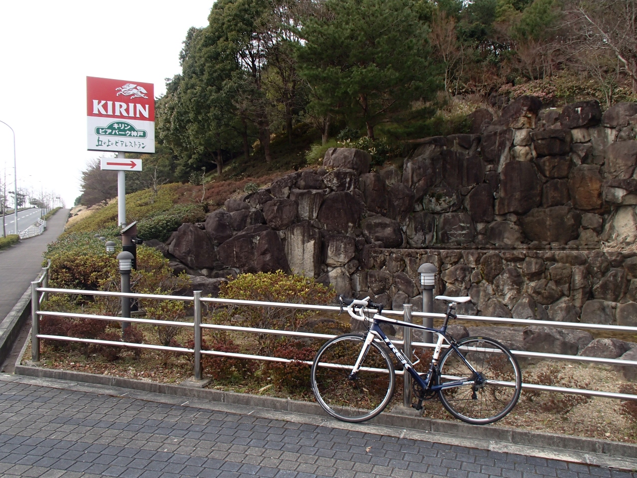 自家用 車 自転車