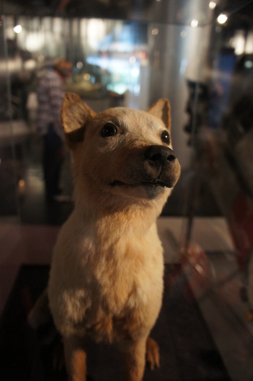 宇宙飛行士記念博物館 The memorial museum of cosmonautics