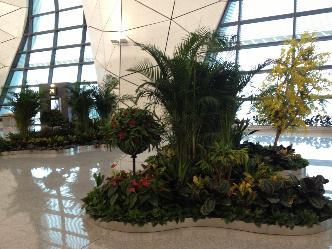 瀋陽桃仙国際空港 (SHE) Shenyang Taoxian International Airport (SHE)