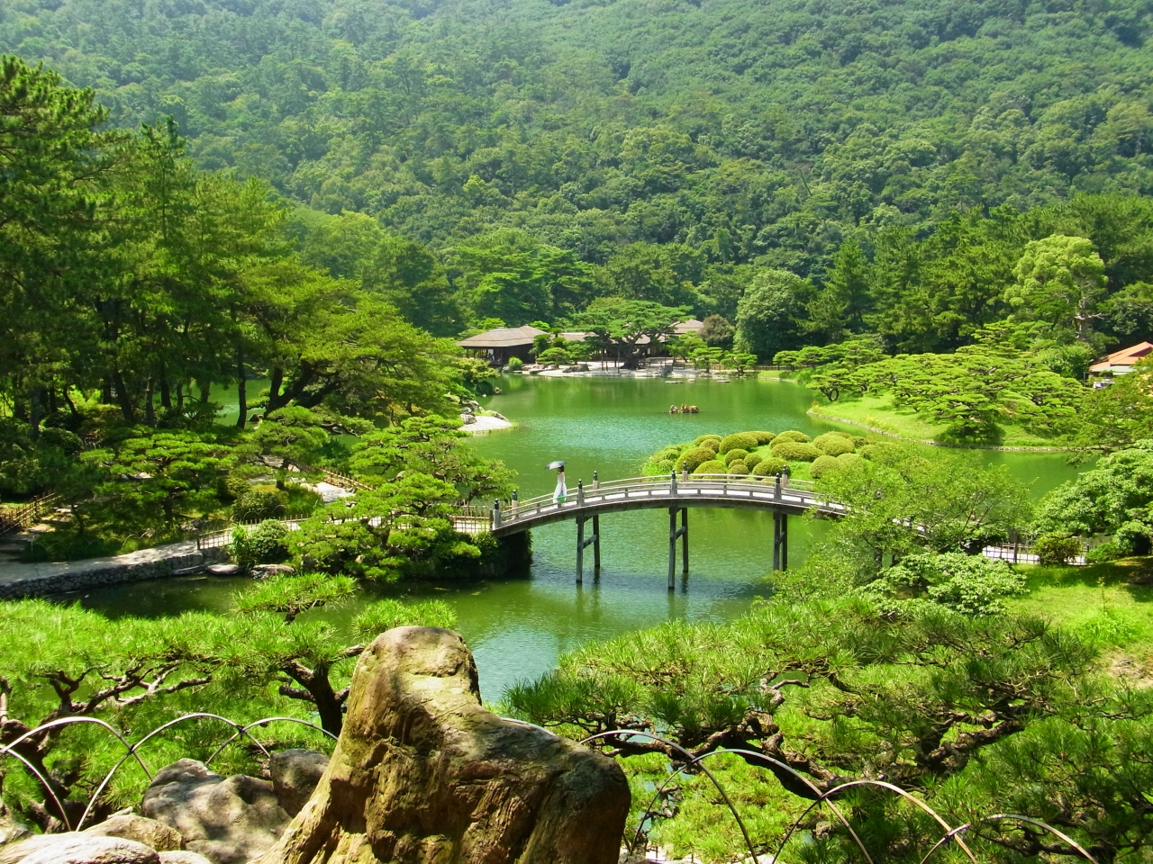 大亀山森林公園