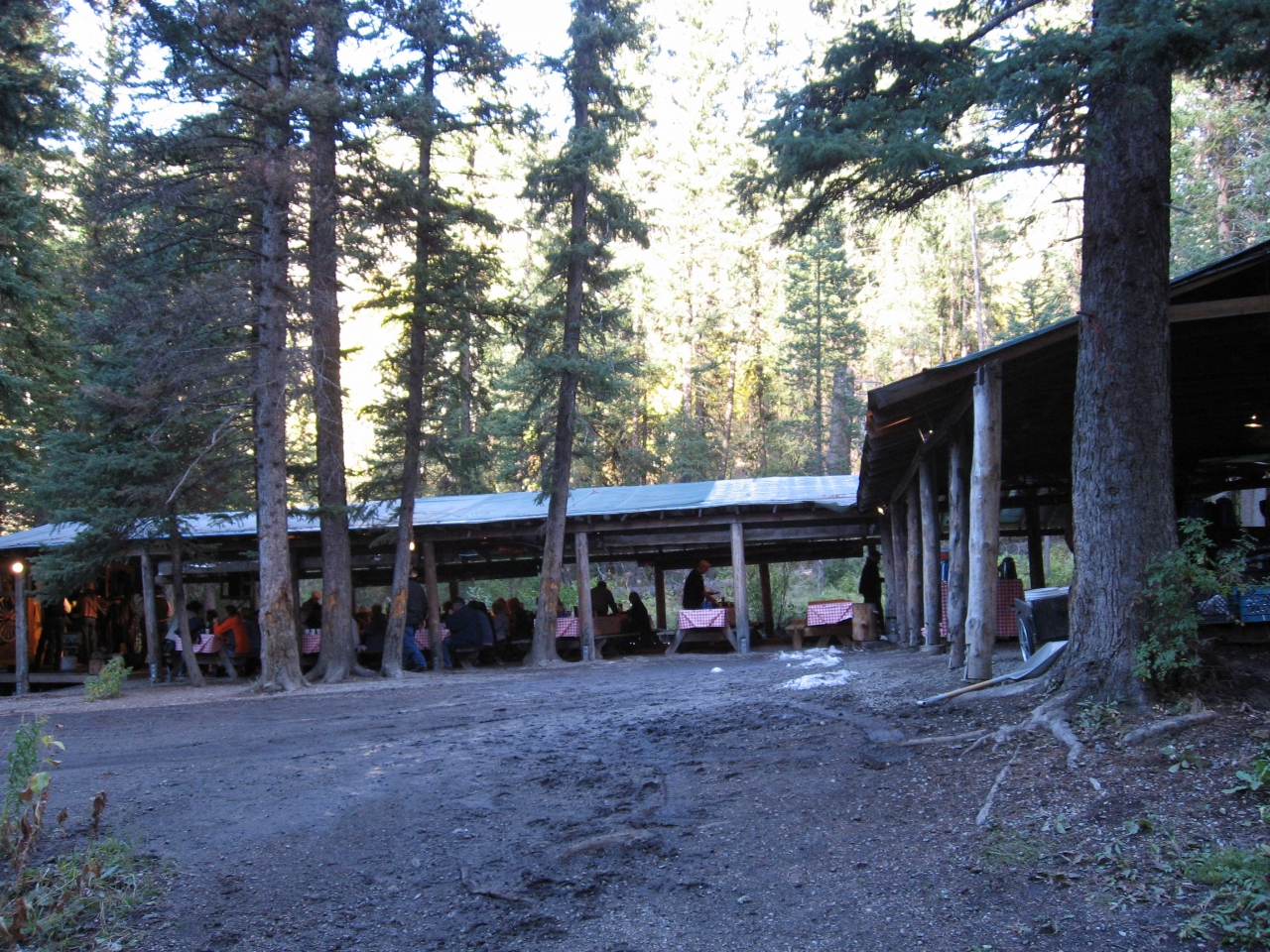 チャックワゴン ディナー ショー Chuckwagon Dinner Show