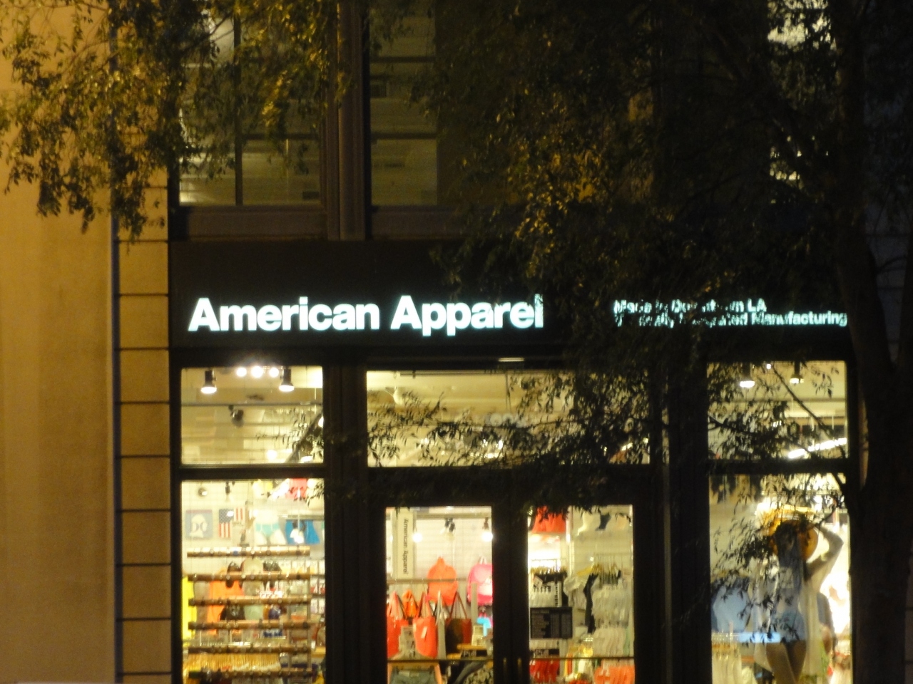 アメリカン アパレル (ジョージタウン店) American Apparel Georgetown