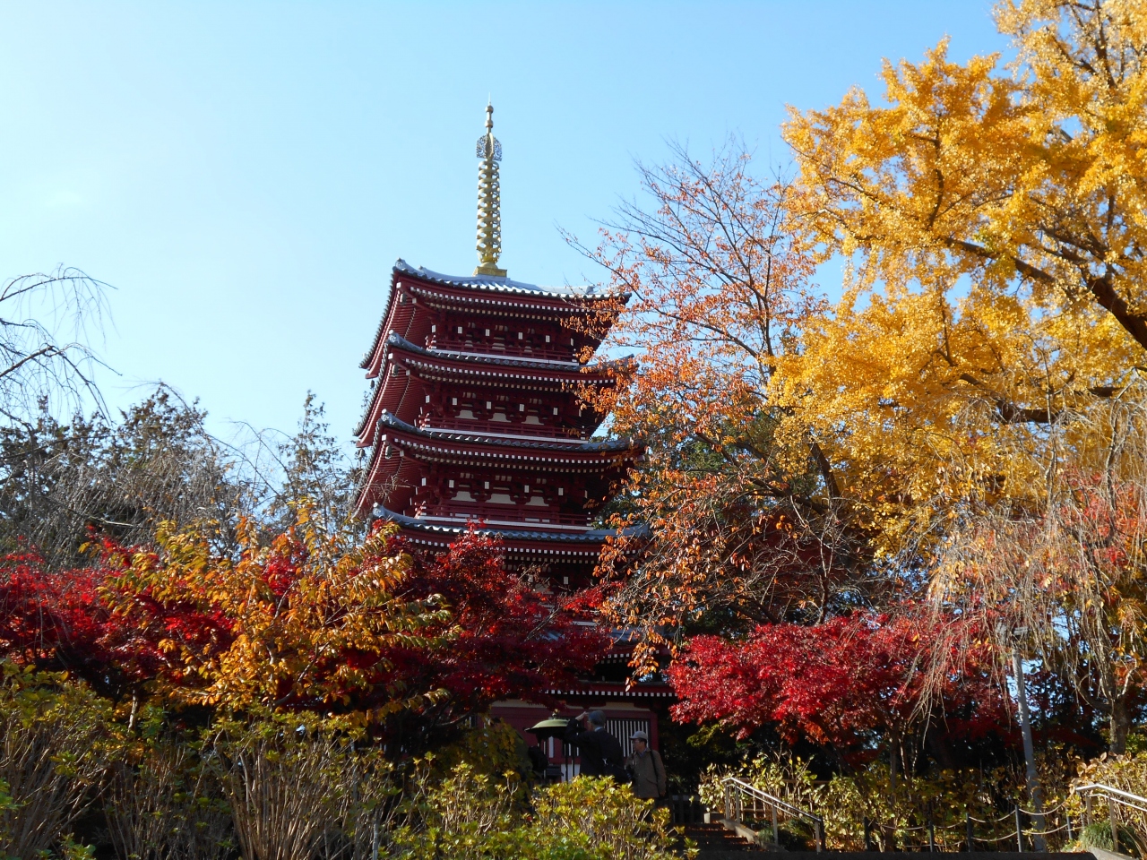 本土寺(あじさい寺)