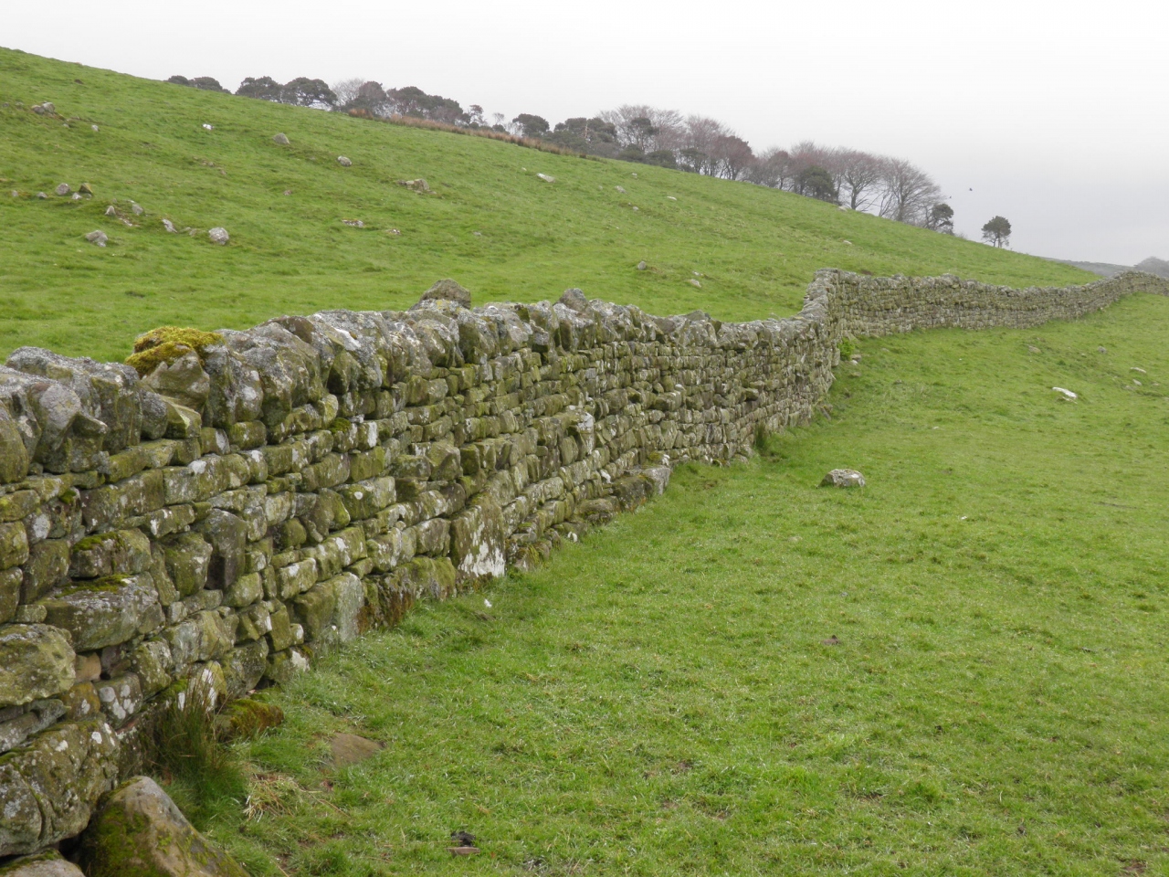 ハドリアヌスの城壁 (ローマ帝国の国境線) Hadrian's Wall
