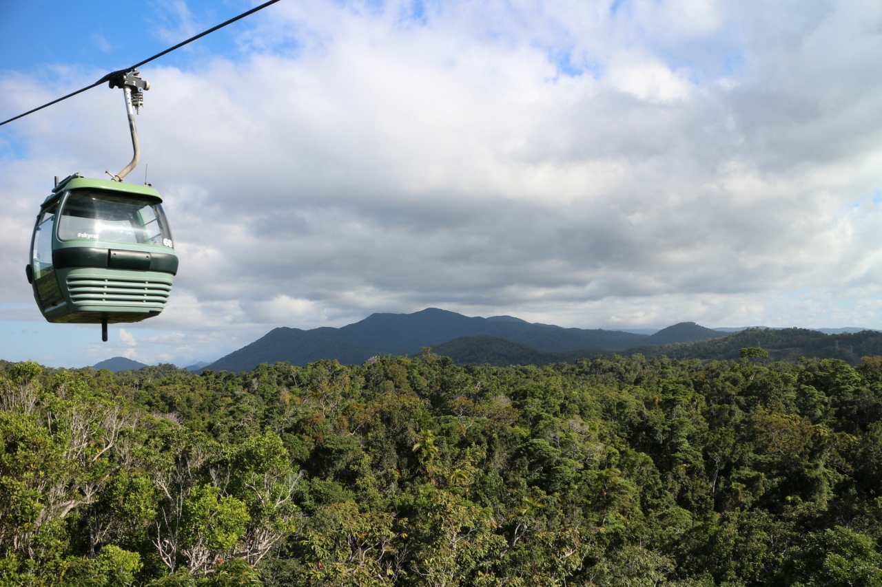 スカイレール レインフォレスト ケーブルウェイ Skyrail Rainforest Cableway
