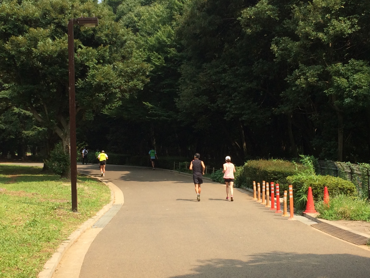 代々木 公園 自転車 混雑