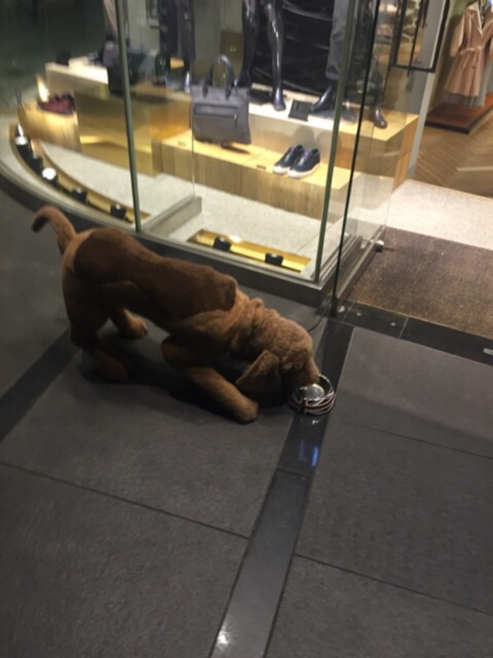 『イギリス系ファッション』by Toratora｜Ted Baker (表参道店)のクチコミ【フォートラベル】