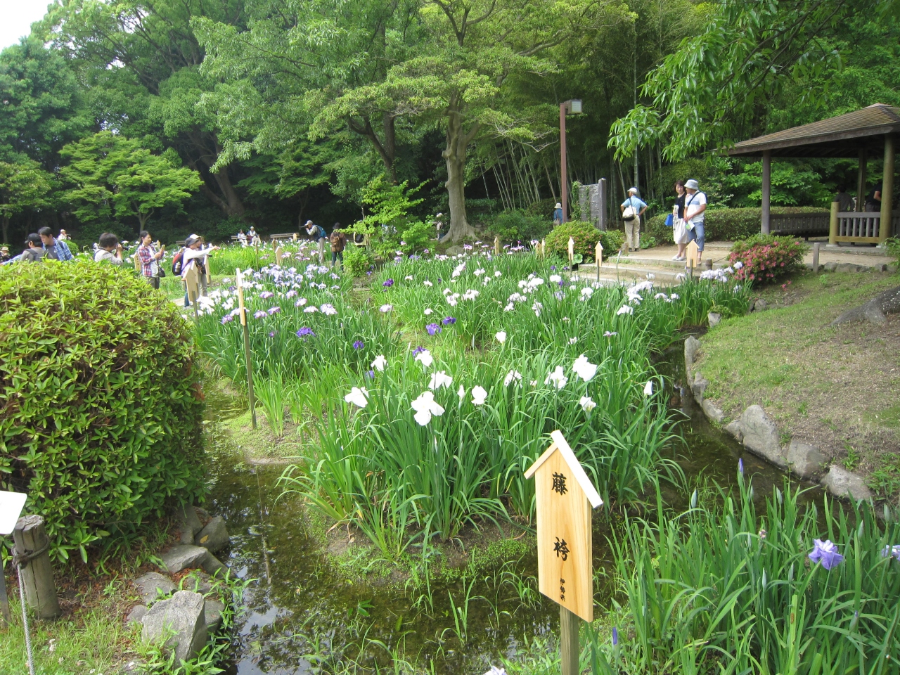 須磨離宮公園