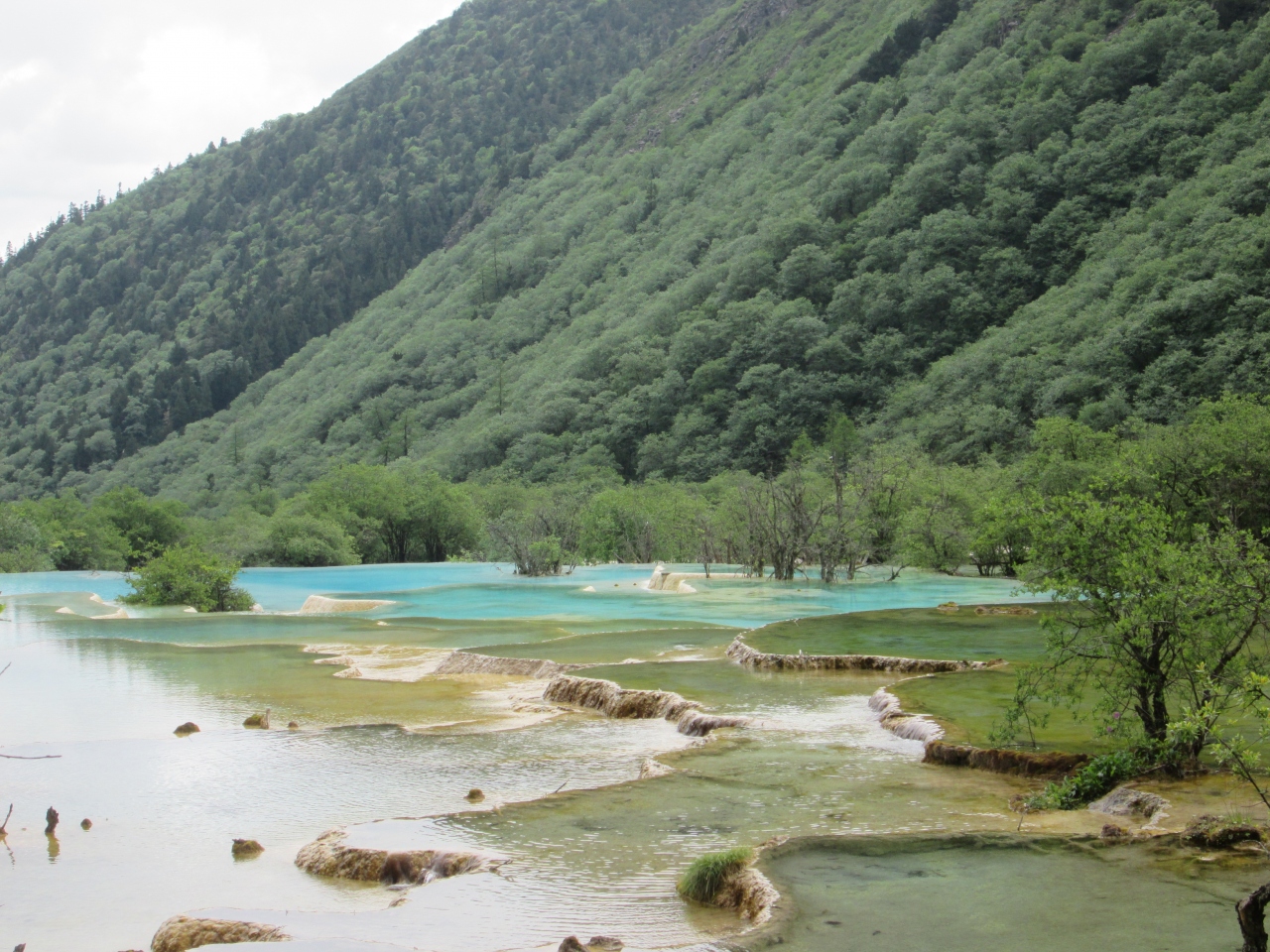 五彩池 (黄龍風景区)                Multi Coloured Pool (Huanglong, Sichuan)