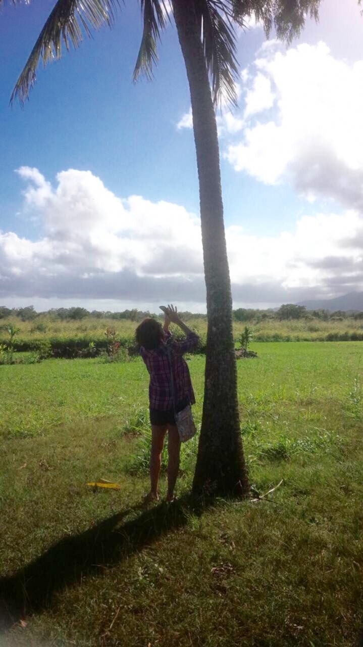 空気が澄んでいる不思議な空間