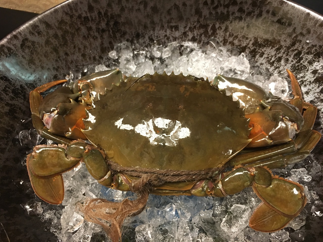 『初 どうまん蟹』by micro|日本料理 堂満のクチコミ【フォートラベル】 『初 どうまん蟹』by micro|日本料理 堂満のクチコミ【フォートラベル】