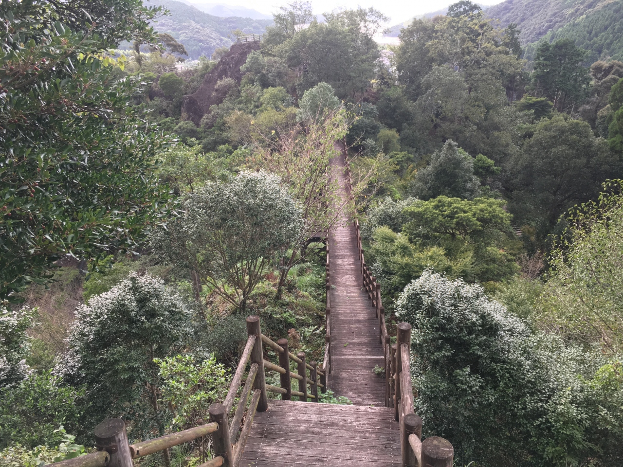 健康遊歩道