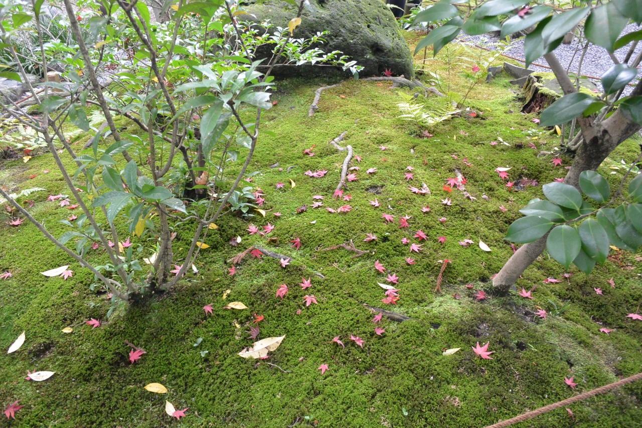 無鄰菴庭園