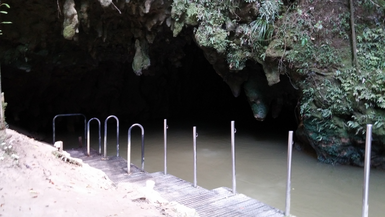 ワイトモ洞窟                Waitomo Glowworm Cave