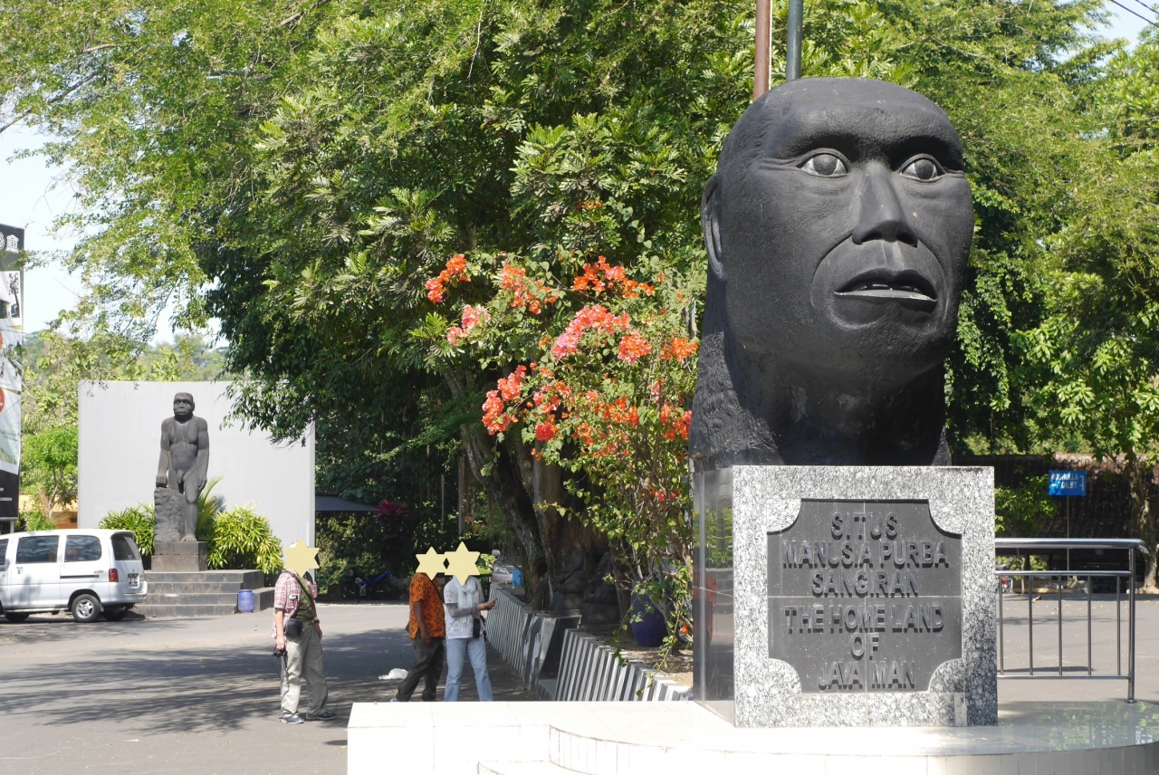 サンギラン初期人類遺跡 Sangiran Early Man Site