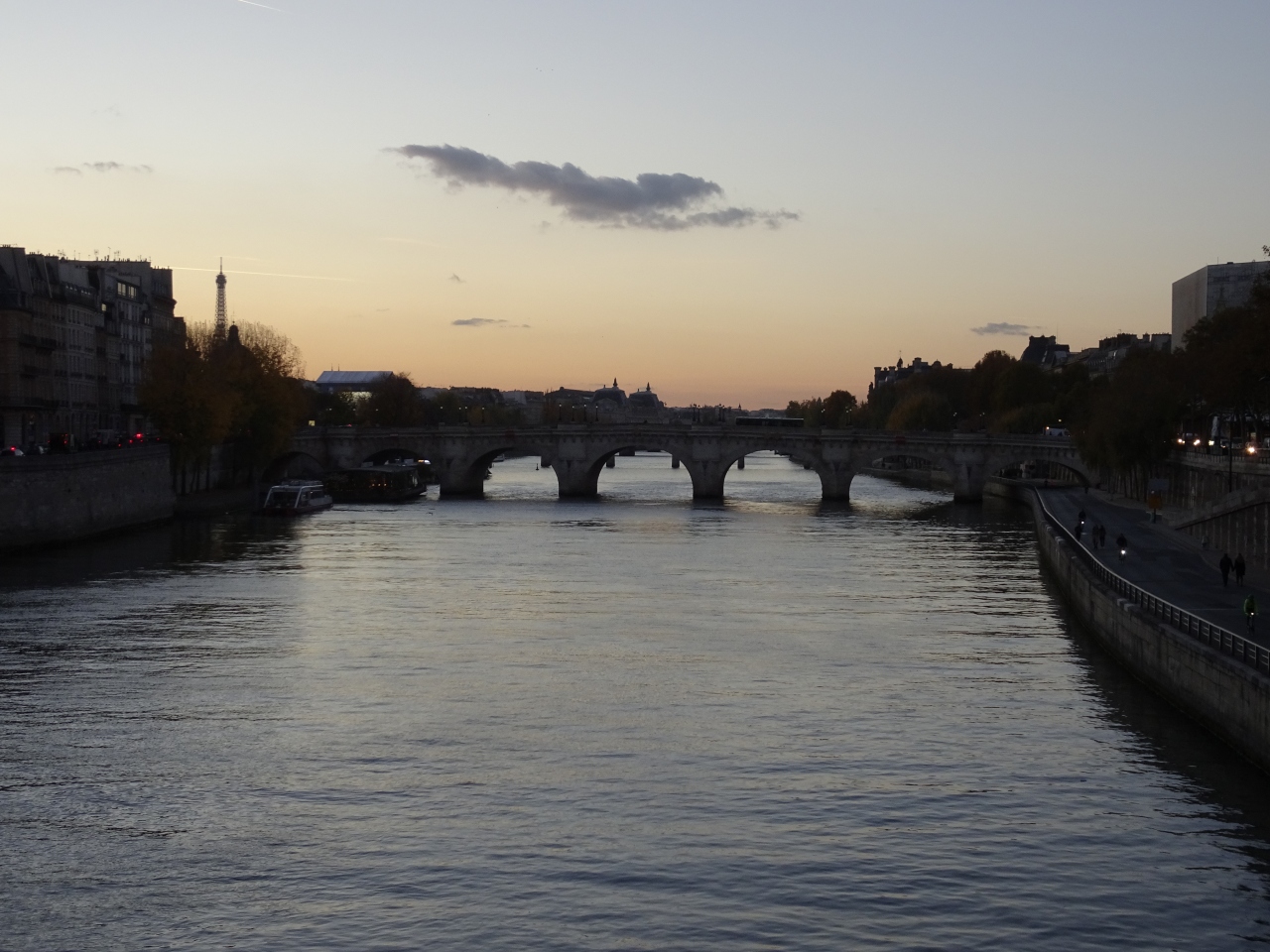 パリのセーヌ河岸                Paris, Banks of the Seine