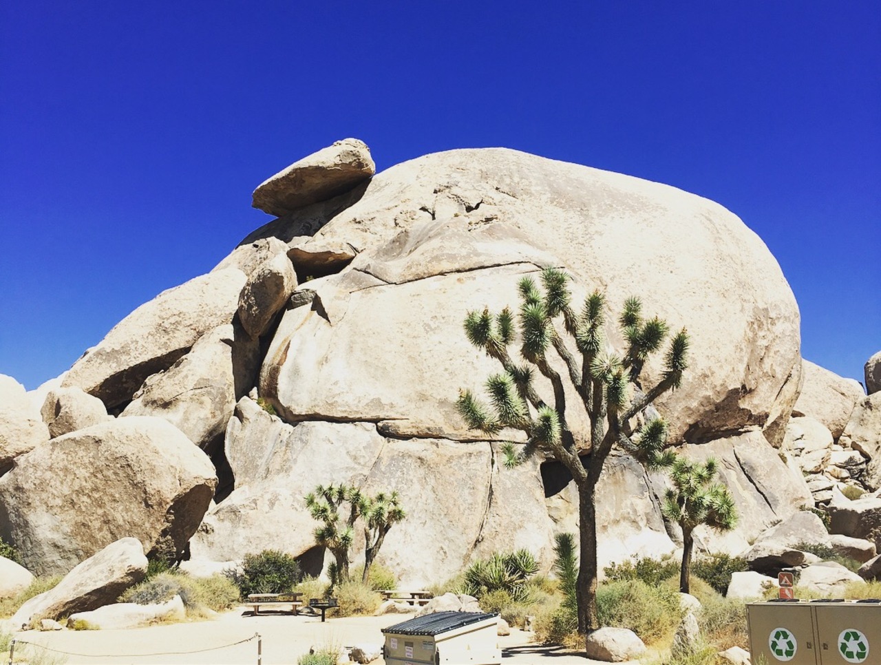『壮大！』by naocoro｜ジョシュアツリー 国立公園のクチコミ【フォートラベル】