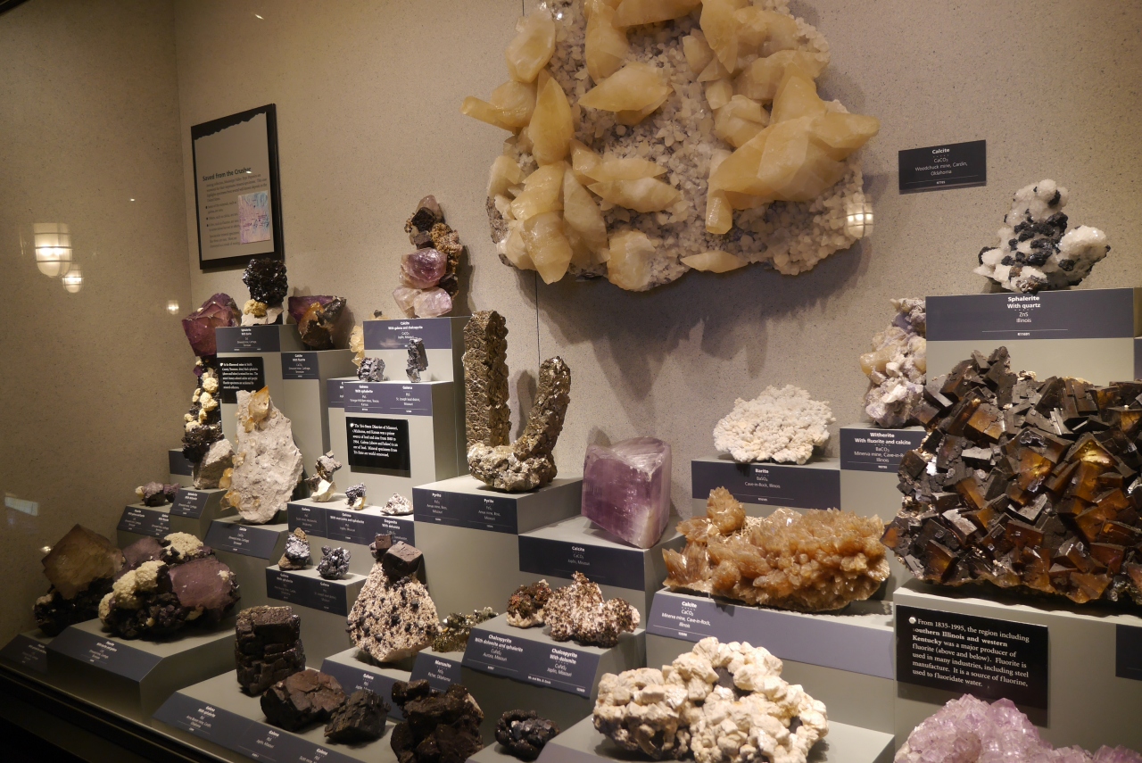 『骨格、鉱物標本等、地球の歩みを見学できます』by クッキー｜国立自然史博物館のクチコミ【フォートラベル】