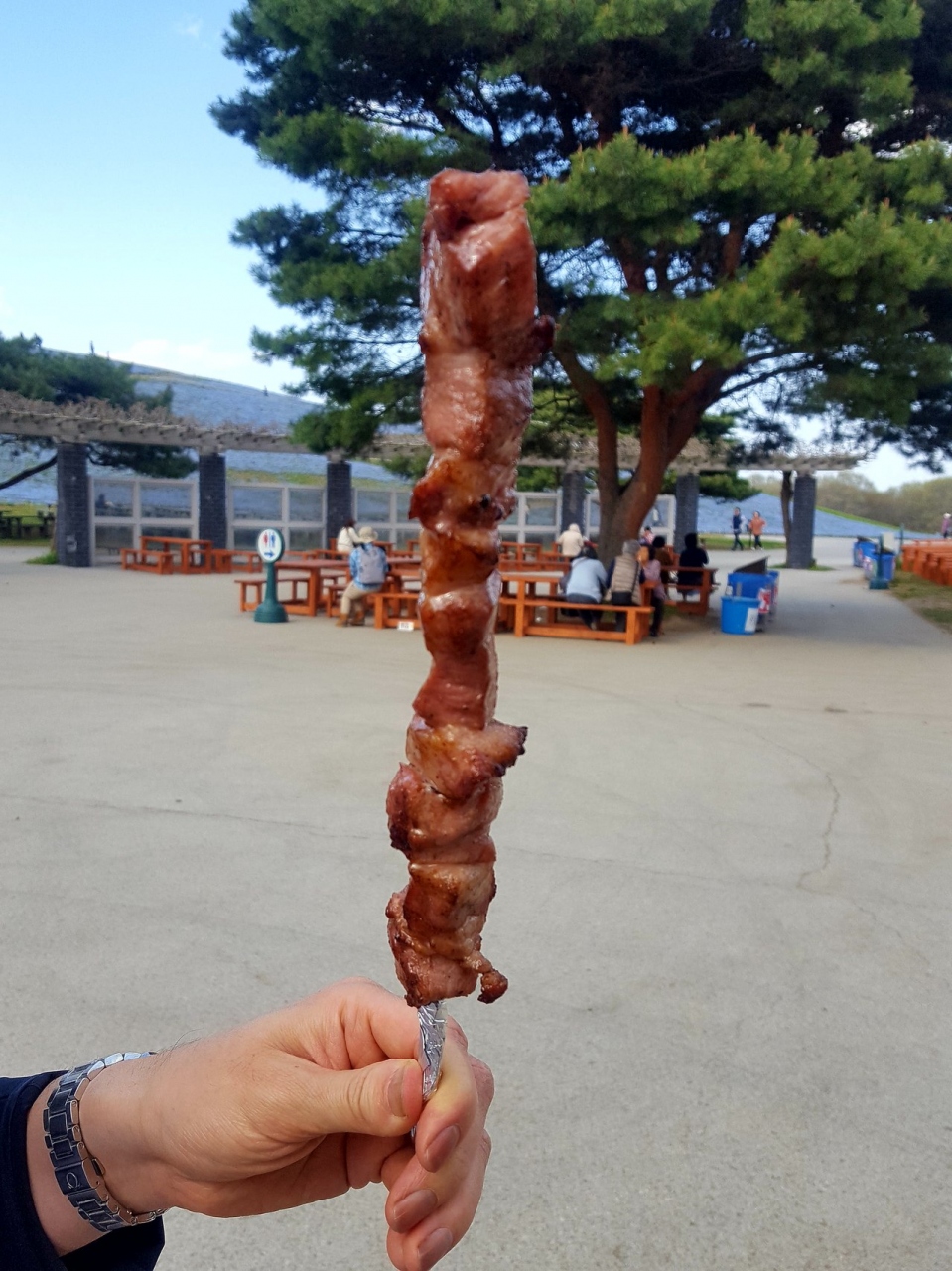 『ネモフィラ！！』by mimi｜国営ひたち海浜公園のクチコミ【フォートラベル】