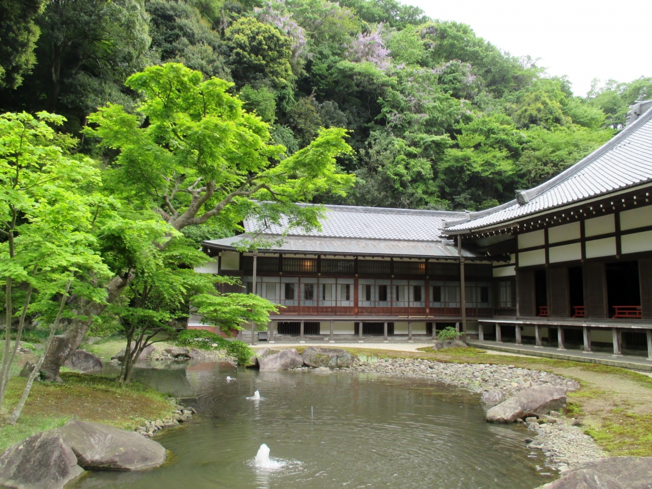 『美しい庭園』by ショコラッテ|円覚寺のクチコミ【フォートラベル】