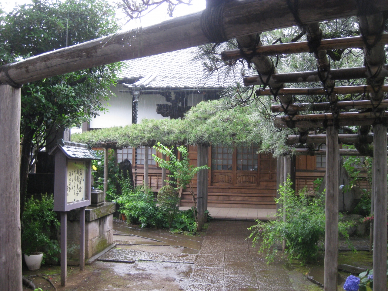 『またも日蓮宗寺院』by teratanicho｜妙情寺のクチコミ【フォートラベル】