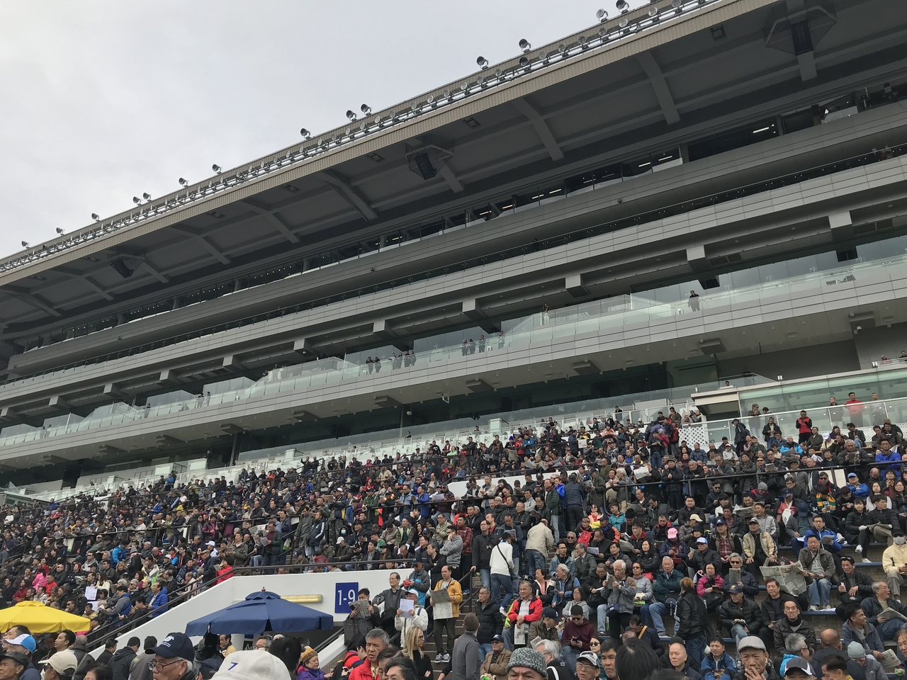 『元旦の香港競馬!』by かぴうさ|沙田競馬場 (沙田馬場)のクチコミ【フォートラベル】