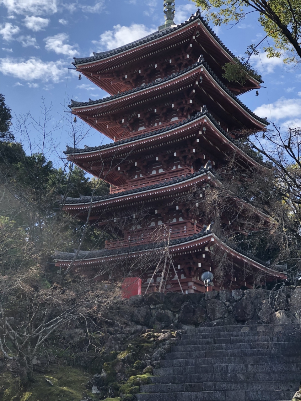 竹林寺(高知県高知市)