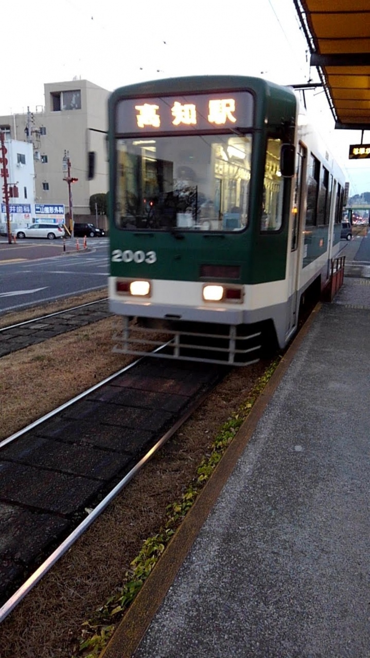 路面電車(とさでん交通)