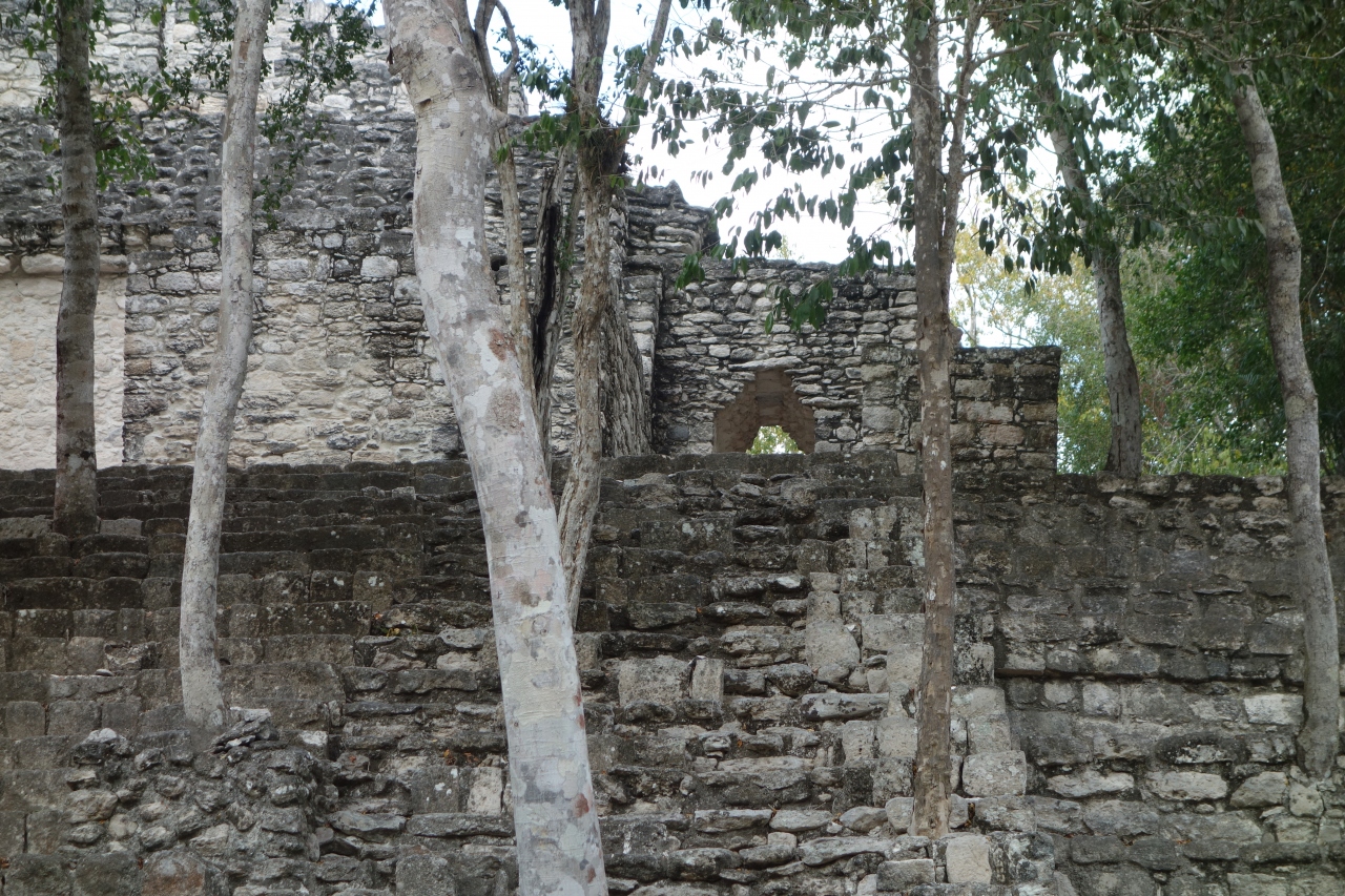 カンペチェ州、カラクムールの古代マヤ都市 Ancient Maya City of Calakmul, Campeche