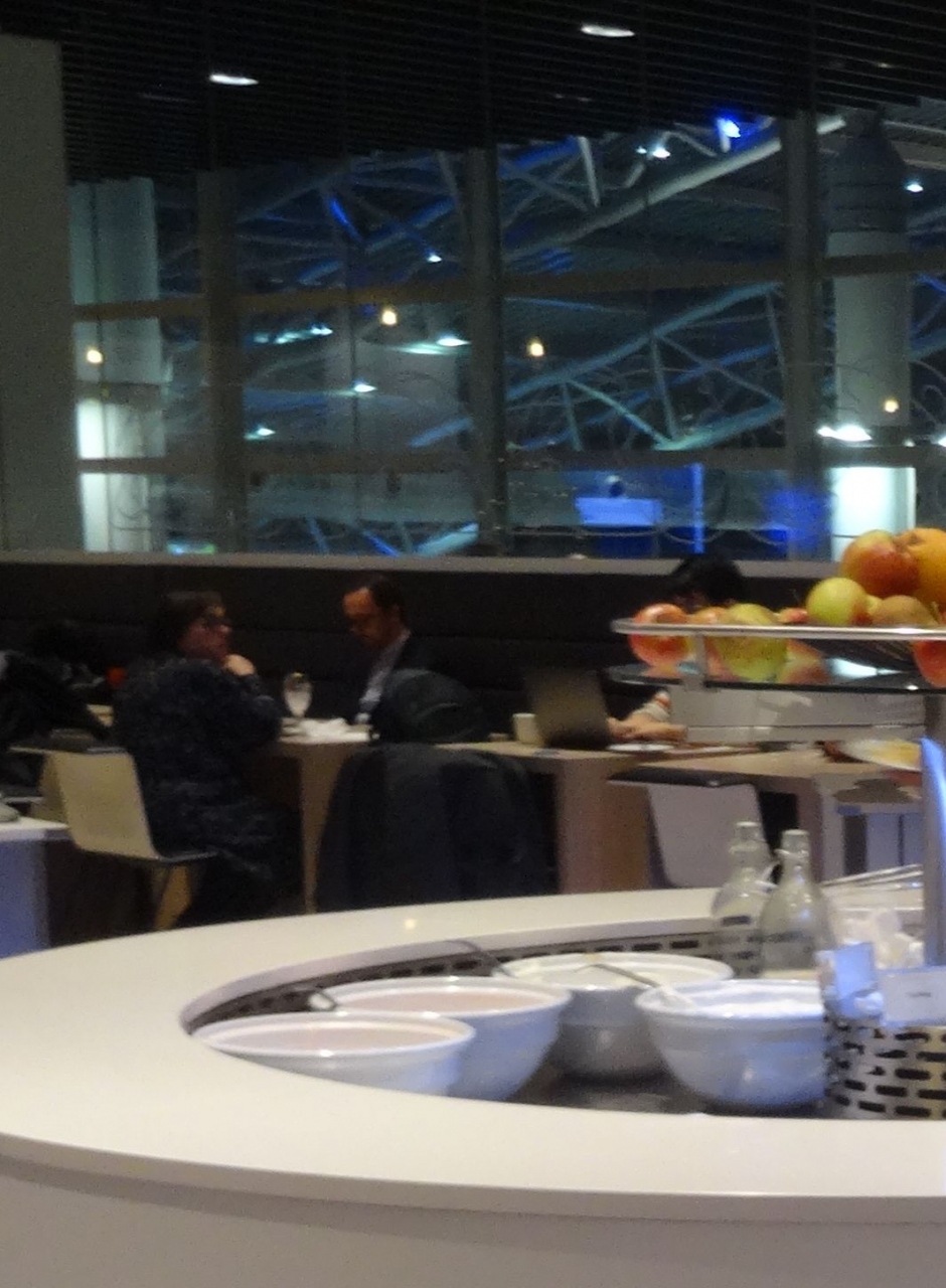 ダイアモンドラウンジ (ブリュッセル国際空港 ターミナルA) Diamond Lounge (Brussels Airport Terminal A)