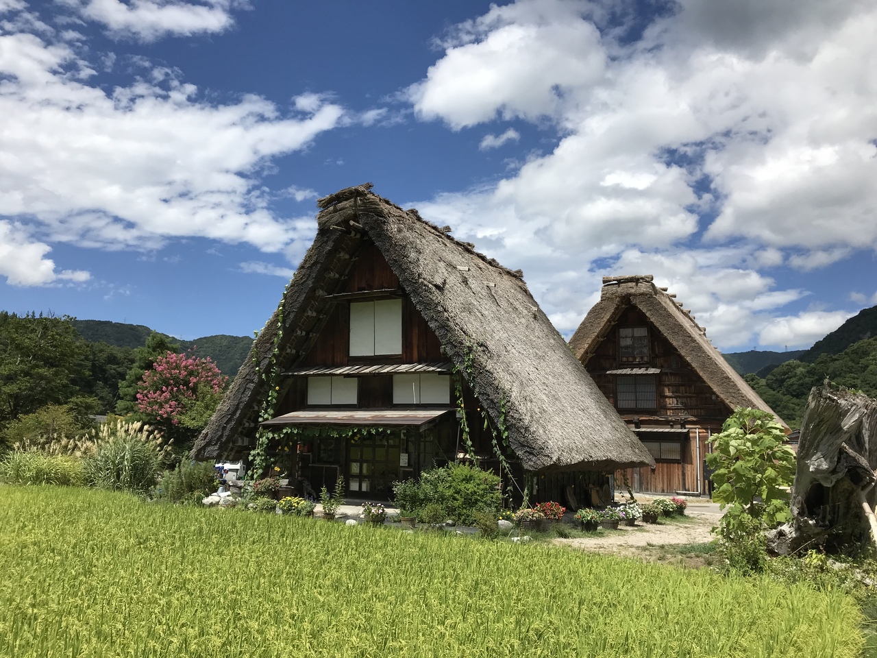 世界遺産白川郷合掌造り集落