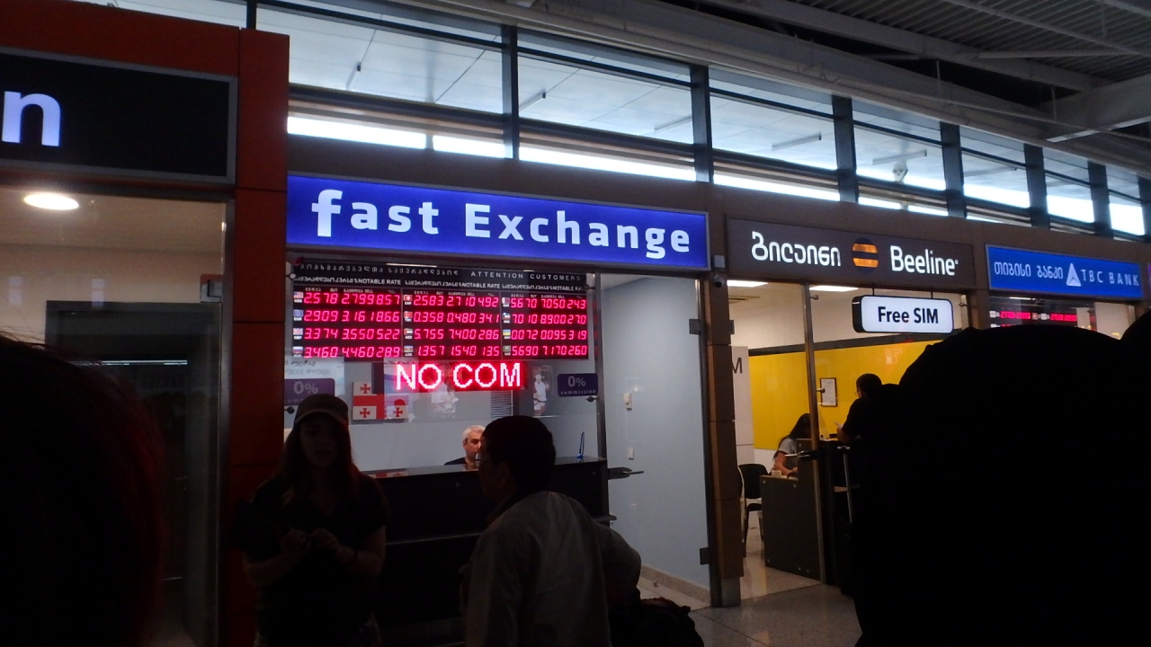 トビリシ国際空港 (TBS)                Tbilisi International Airport