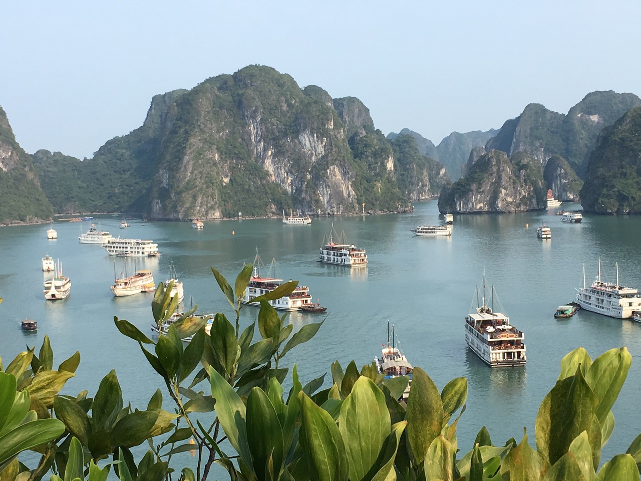 ハロン湾クルーズ                Halong Bay Cruise