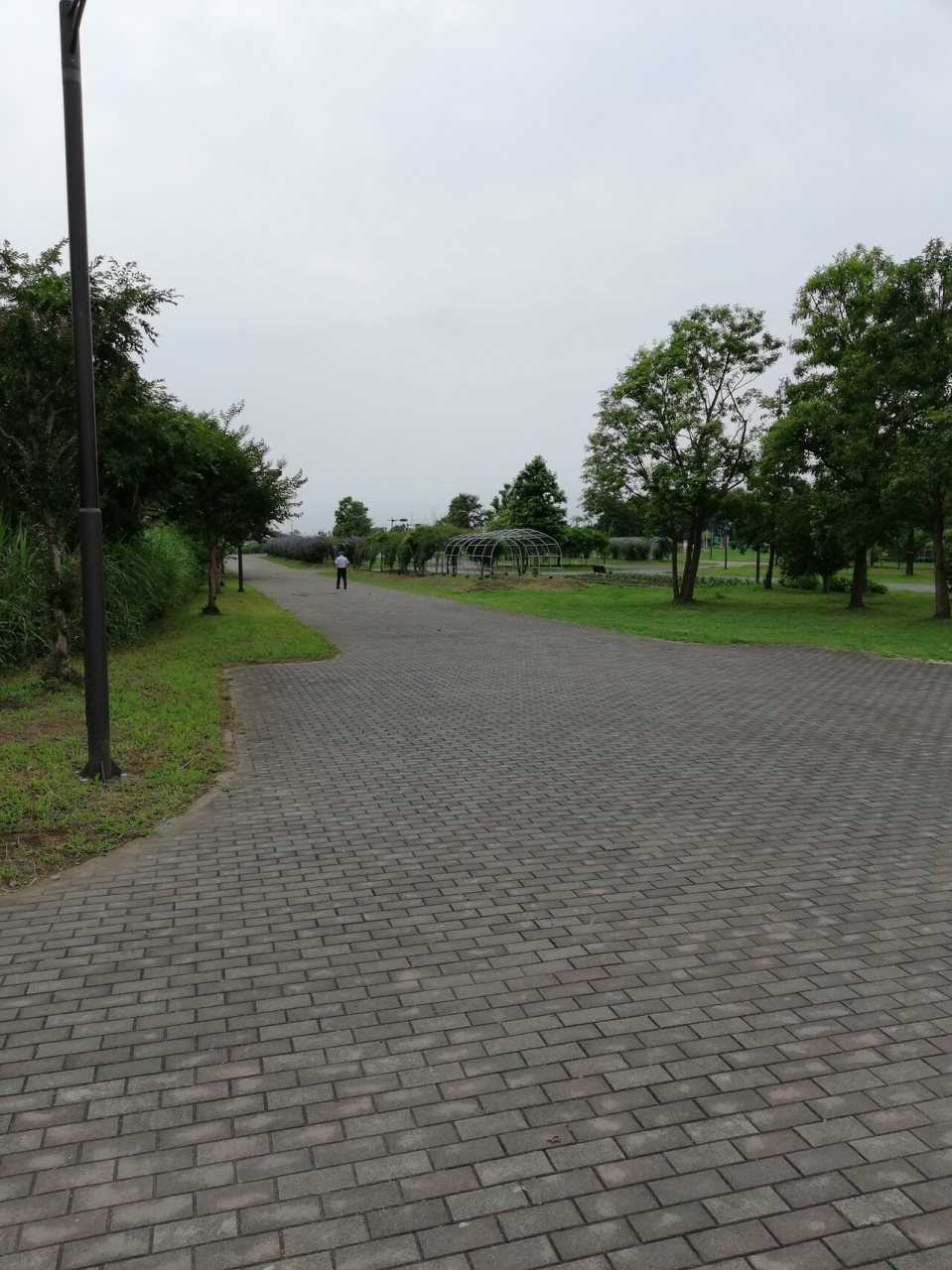 『羽生水郷公園de水上ウォーキング』by さすらいの旅人|県立羽生水郷公園のクチコミ【フォートラベル】 『羽生水郷公園de水上ウォーキング』by さすらいの旅人|県立羽生水郷公園のクチコミ【フォートラベル】