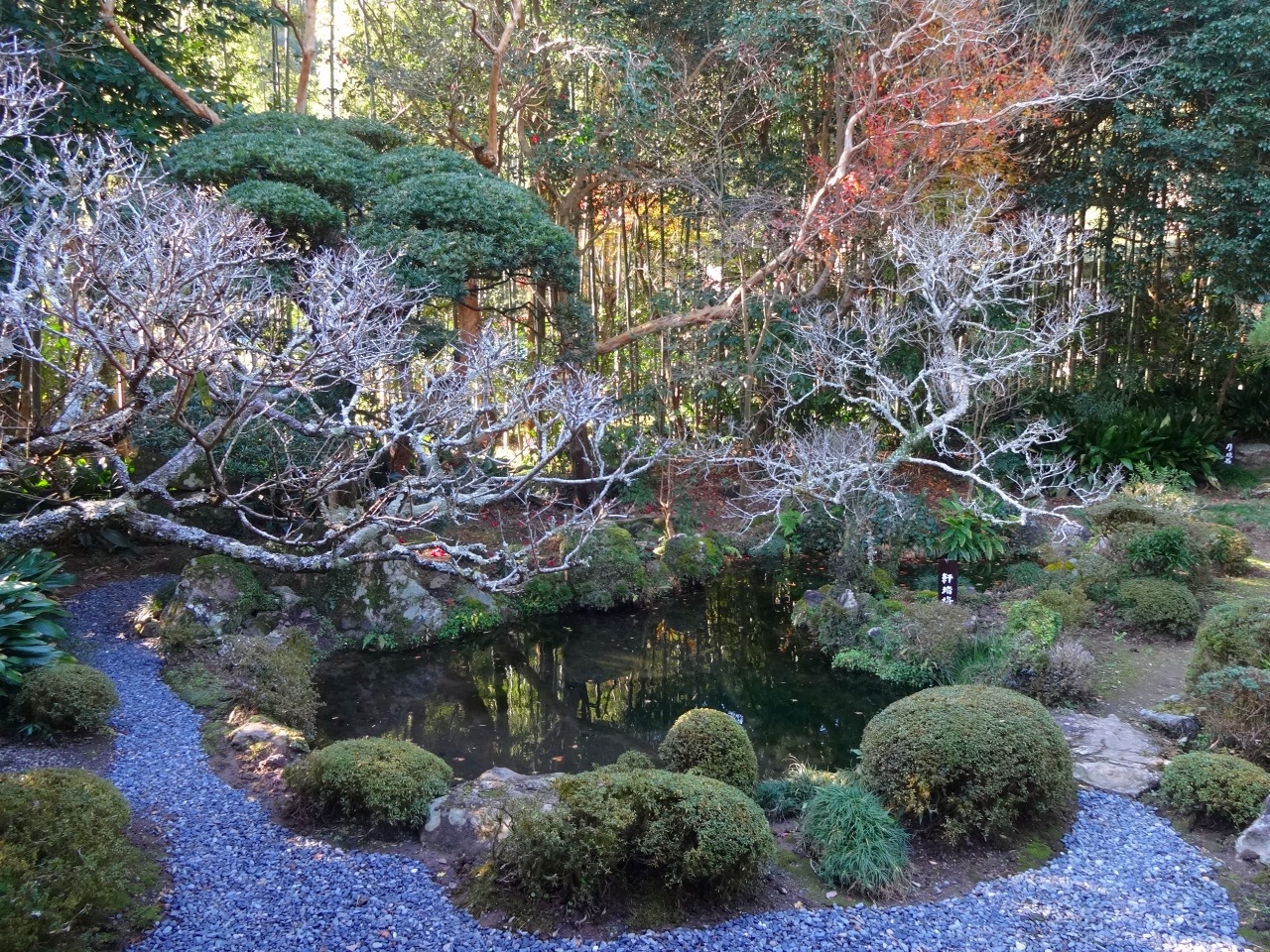 吐月峰柴屋寺