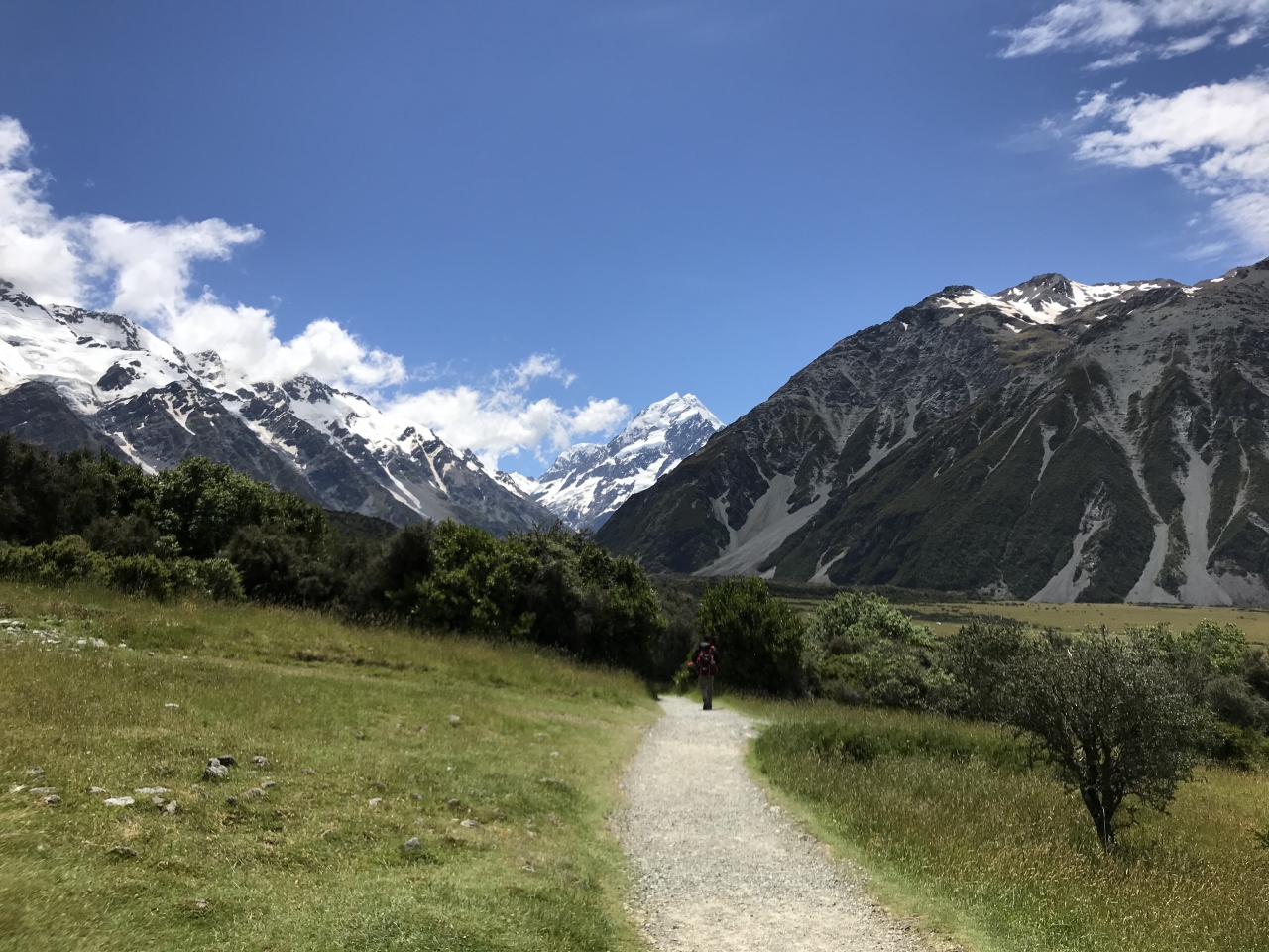 アオラキ マウントクック国立公園のウォーキングトラック Tracks in Aoraki Mount Cook National Park