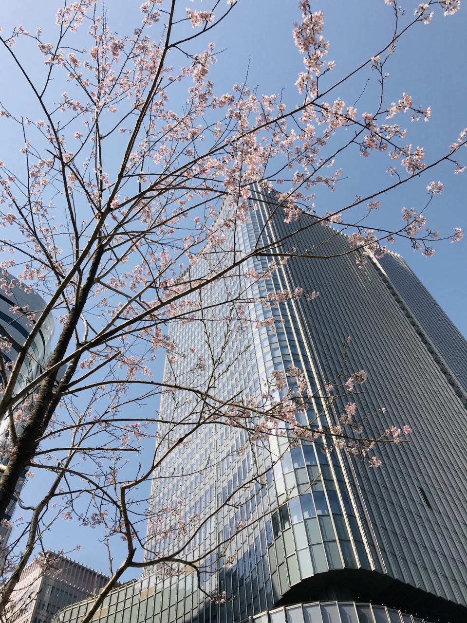有楽町 銀座 カフェ デート 出会い系アプリ