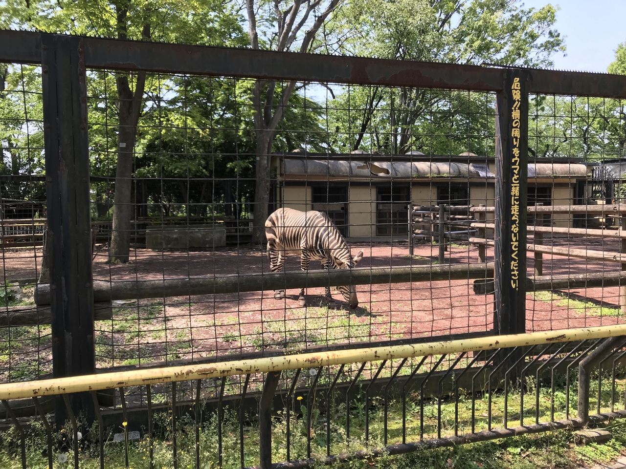 夢見 が 崎 動物園 自転車