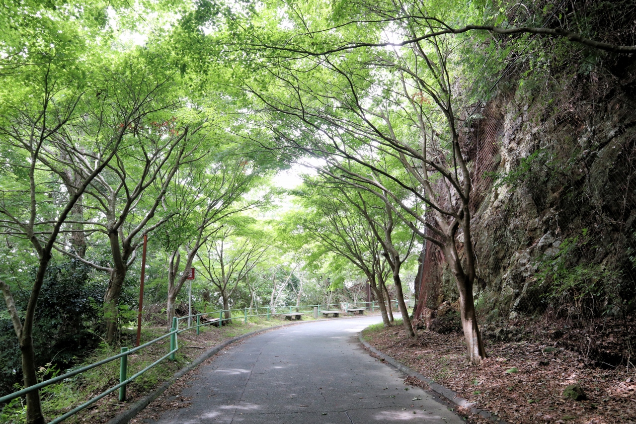 鳳来寺山