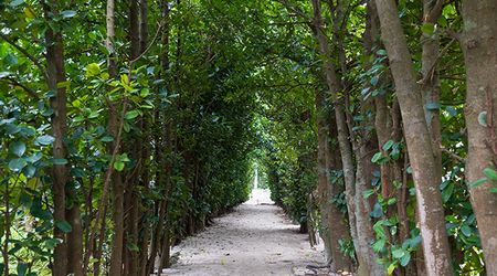 ����������Τ�줶���������˿����ι