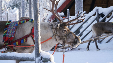 �ե�����ɤΥ�����������(3���� ���󥿥�������¼��)