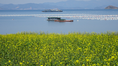 ����硡���η�쥹�ݥå�