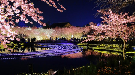 �޿���ߤ򸫤ˡ��뼯�ο�����٤ȡؤʤФʤ�Τ�٤ء���ʤФʤ�Τ�ԡ�