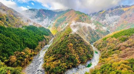 11β?ϲǥΡ󥰢ͽ꤬붭ιˤʤޤս̼ι