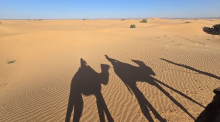 2024-2025ǯ��ǯ�ϤΥ���å�ι��(���ϥ麽���ޤ���Ƥ��ޤ��ޤ�����)