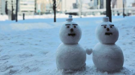 ��JAL�ۤɤ����˥ޥ�������������ι���̳�ƻ�������