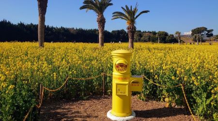 ���ɸФغڤβ֤򸫤˹ԤäƤ������������̵������Ѥ��ɤ�Ŵ������ι